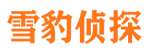 宁国市侦探公司